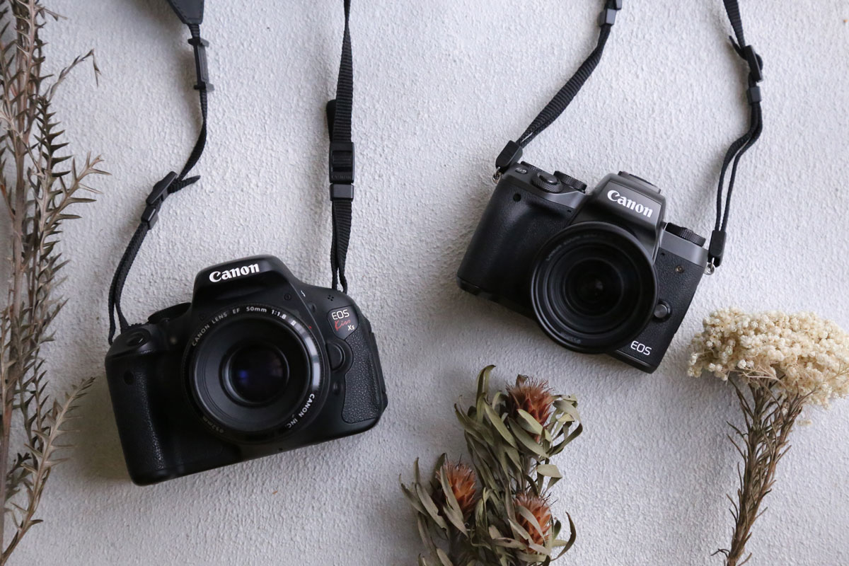 一眼レフとミラーレスの違いってなに?