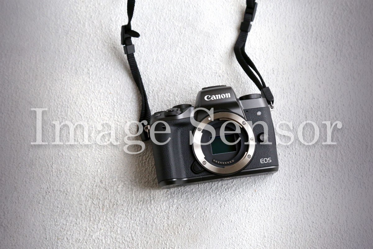 イメージセンサーってなに?